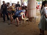 pbsn_silver_jubilee-1-thumb.jpg